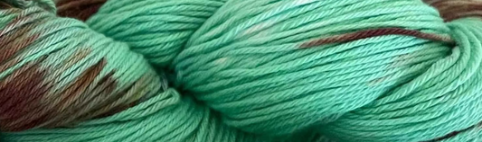 Mint Choc Chip 🍫🌿