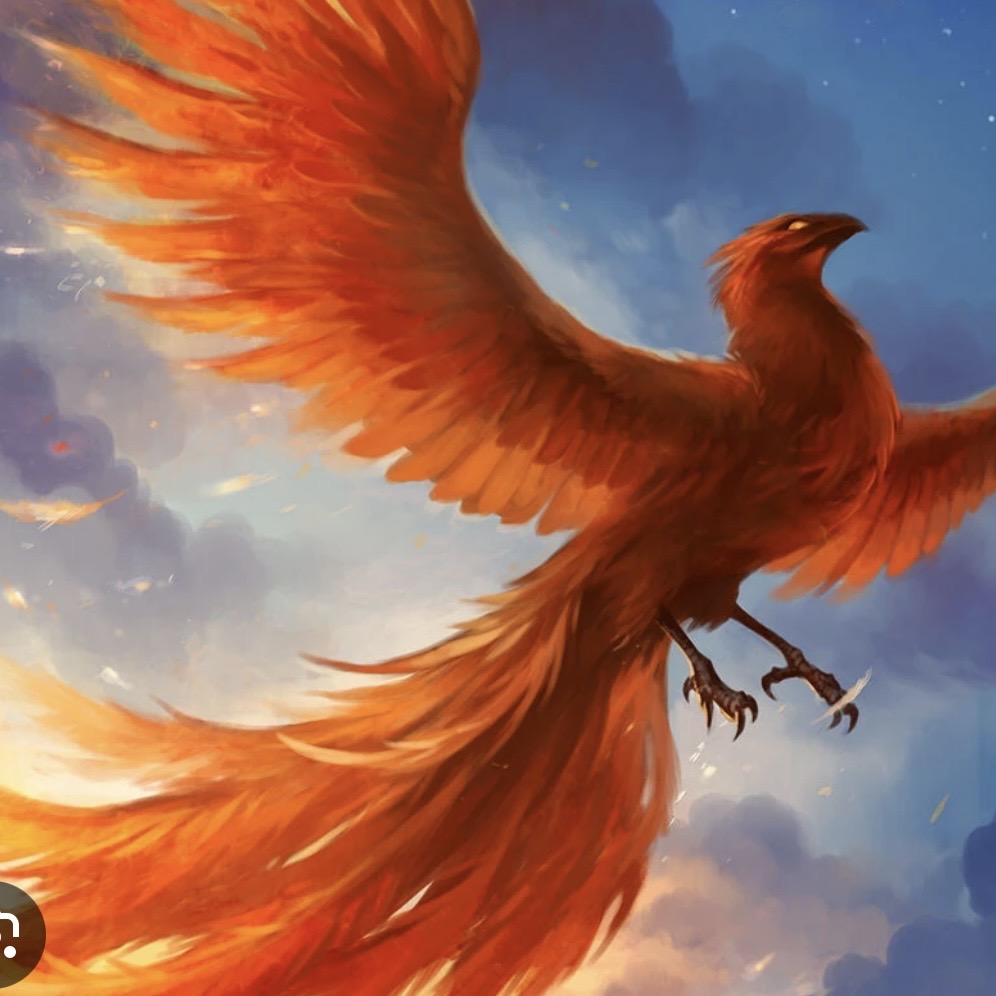 Phoenix Inspired Bundle