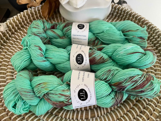 Mint Choc Chip  🍫🌿