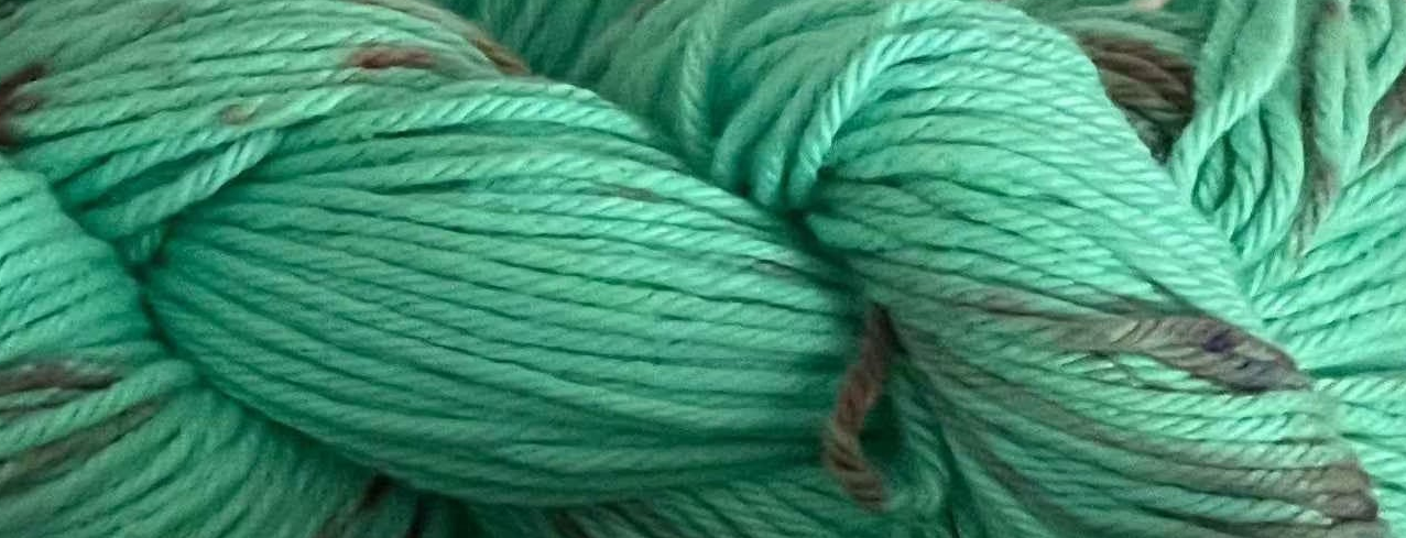 Mint Choc Chip  🍫🌿